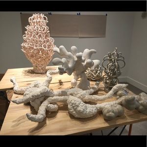 Meet your Posher, Tsehai